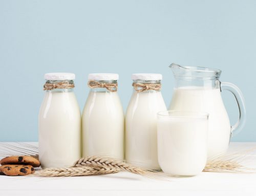 Dị ứng sữa bò – Cha mẹ cần làm gì